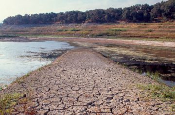 California: Using data to forecast drought in community water outages