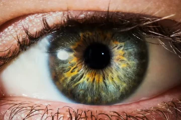 ONL, a clinical-stage biopharmaceutical company developing novel therapies for protecting the vision